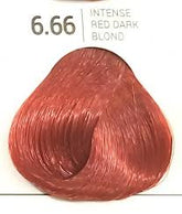 Dreamron Intense Red Dark Blond 6.66 - 60ml - ShopXonline
